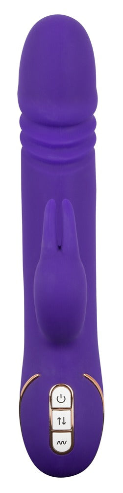 Lapin patineur violet