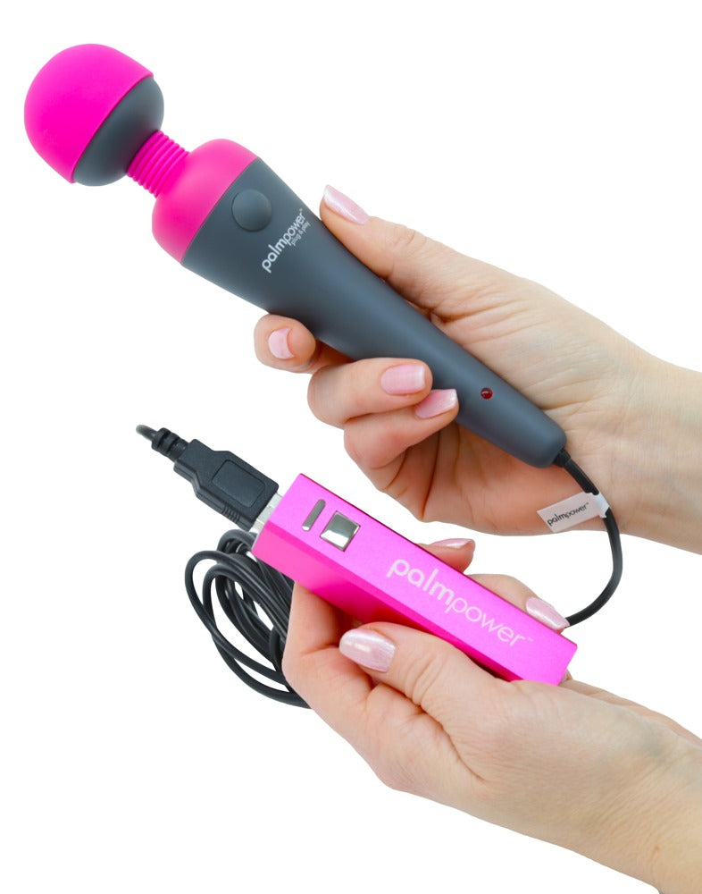 palmpower plug & play