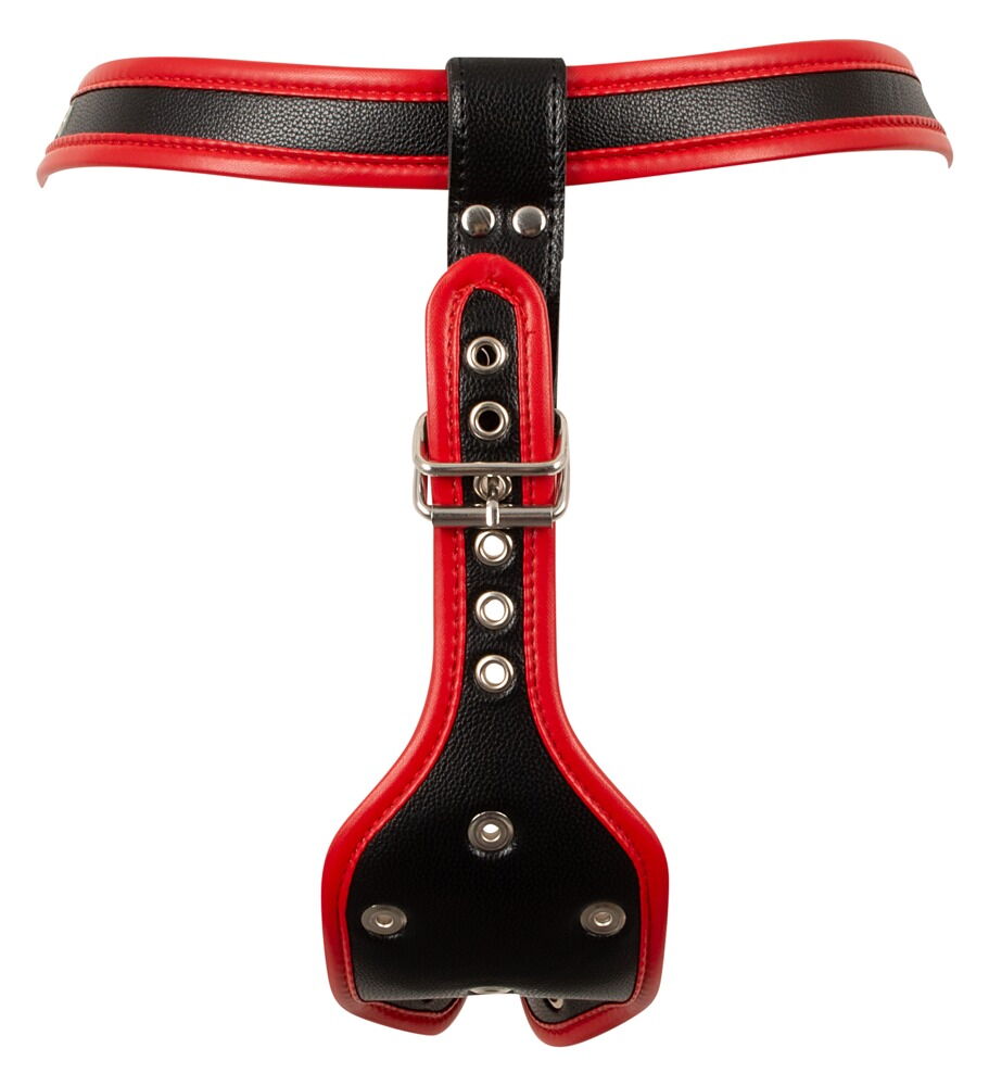 Bad Kitty porte une tenue S/M