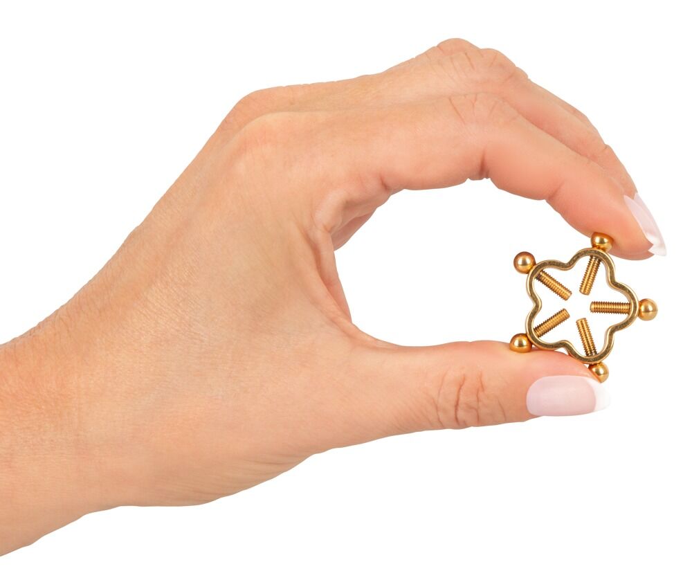 Bijoux pour tétons Bad Kitty Gol