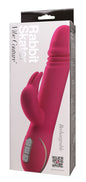 Konijn Skater Roze