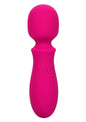 Bliss Mini Wand