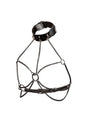 Chain Collar Harness +Size