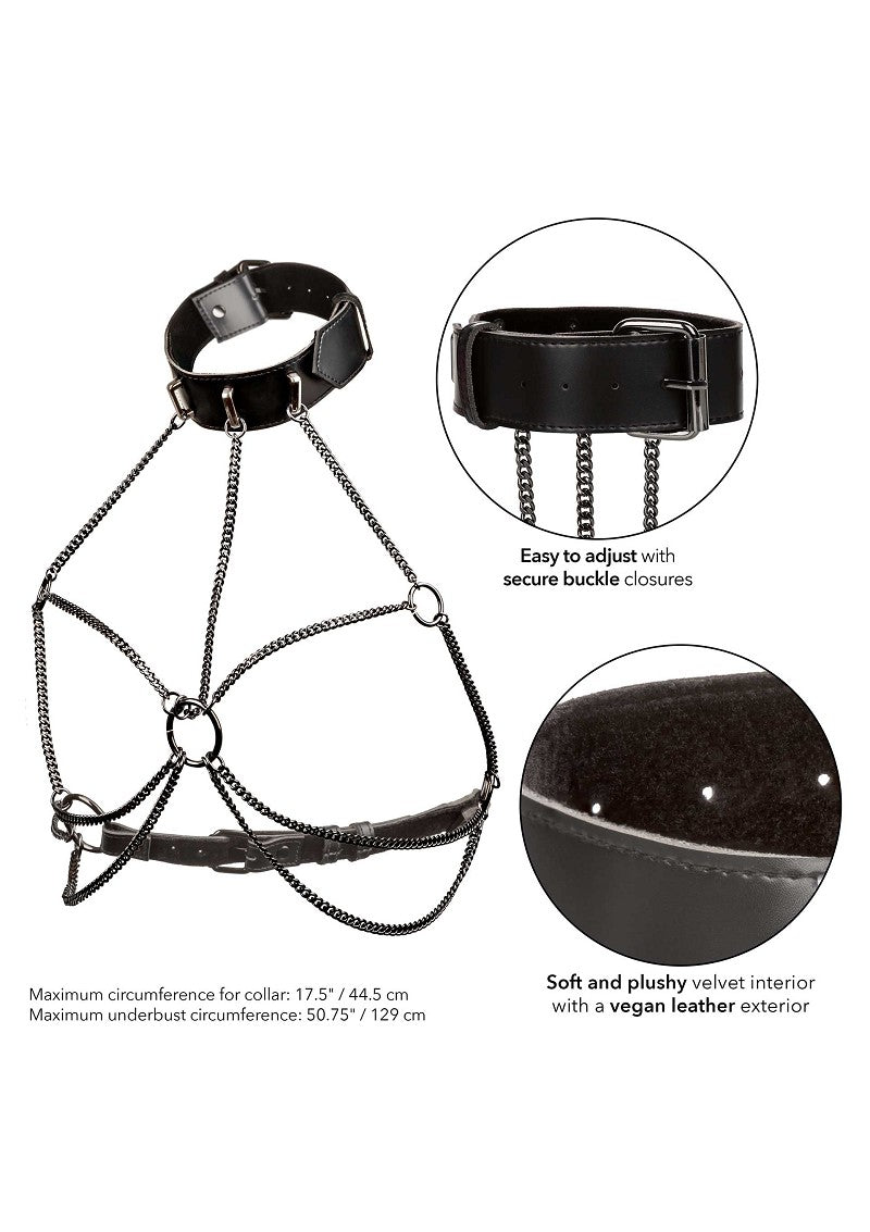 Chain Collar Harness +Size