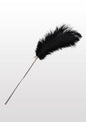 Feather Tickler
