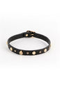 Alina Collar