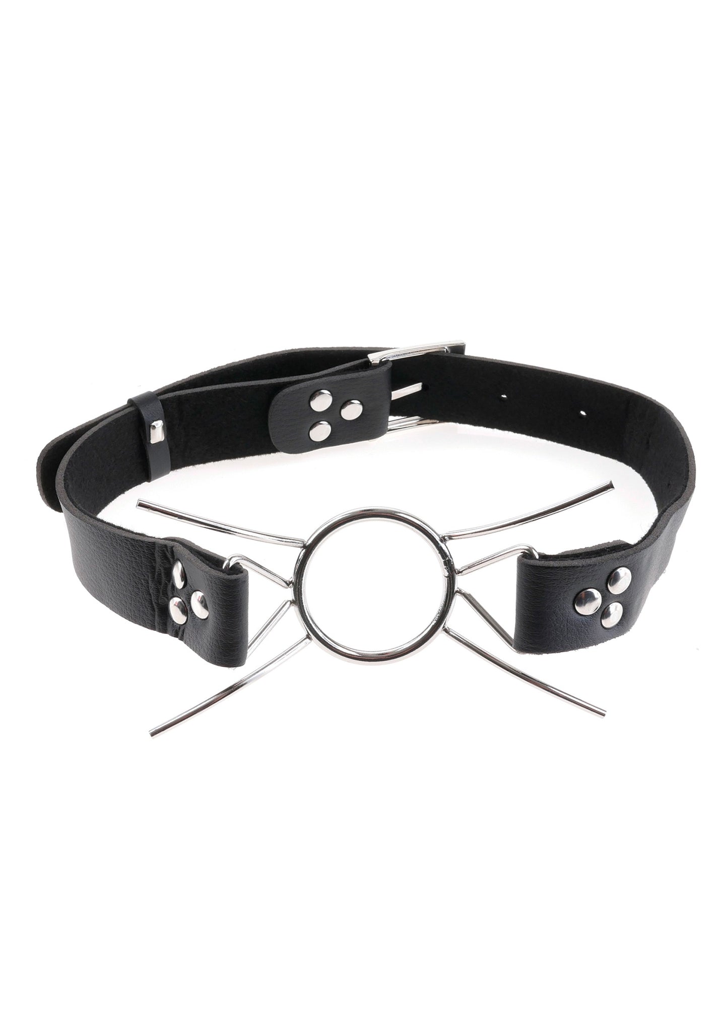 Spider Gag