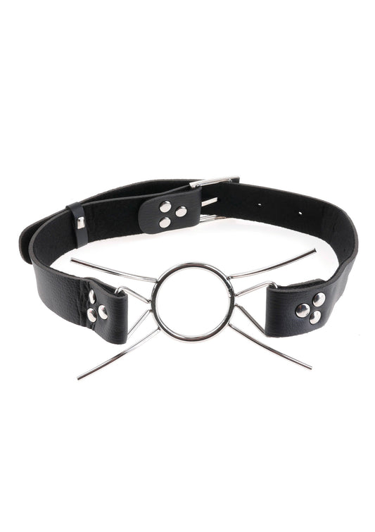Spider Gag