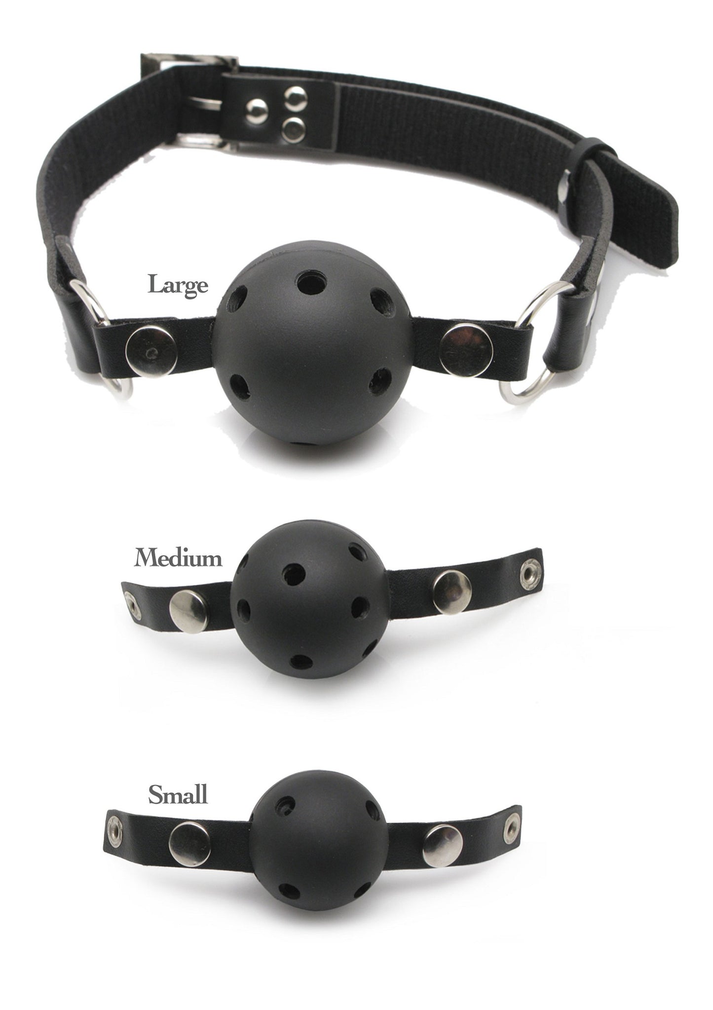 Ball Gag Training System