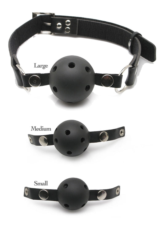 Ball Gag Training System